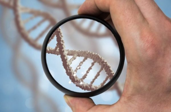 Pela 1ª vez, cientistas removem doença genética com ‘cirurgia química’ de embrião
