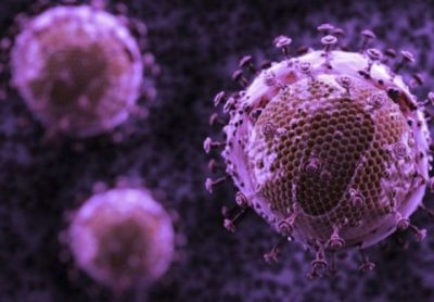Cientistas criam anticorpo que ataca 99% das cepas de HIV