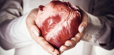 Cirurgias do coração realizadas pela manhã têm maior risco, aponta estudo