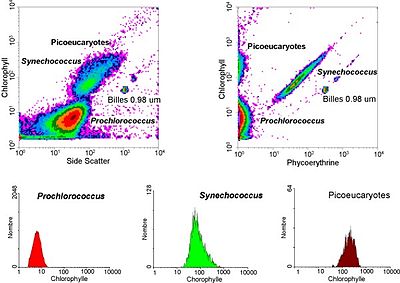 Citometria de fluxo: Flow Cytometry, An Overview