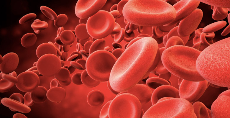 Imagem ilustrativa Hemoglobinas